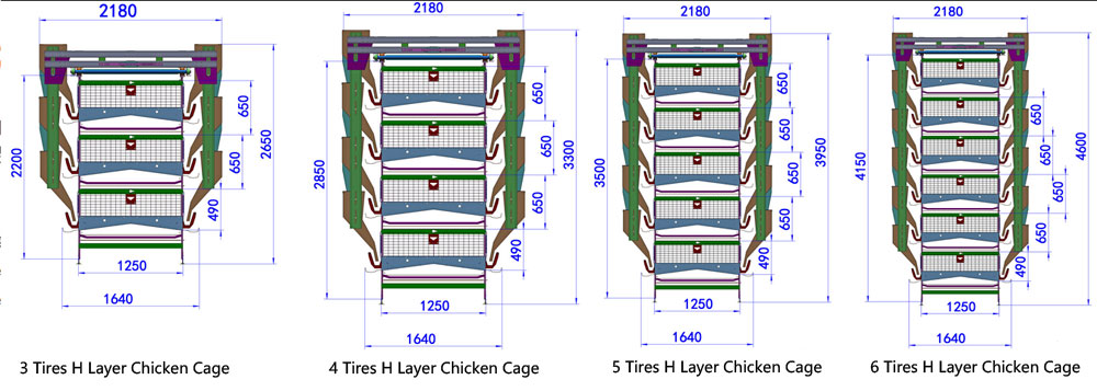 H type layer chicken cage design