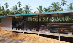 project of Asia layer chicken cage