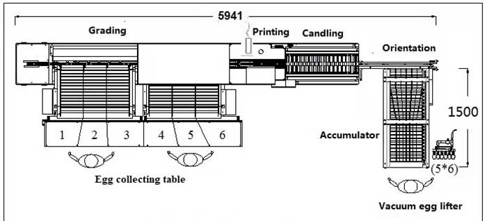 egg grading machine diagram