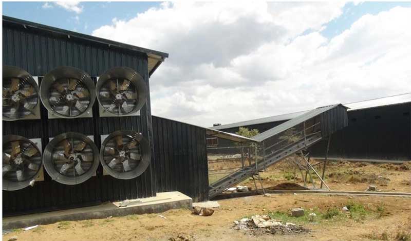 fan and manure cleaning system