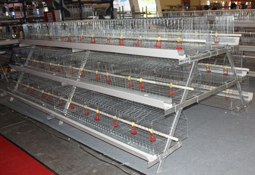 New a type layer chicken cage