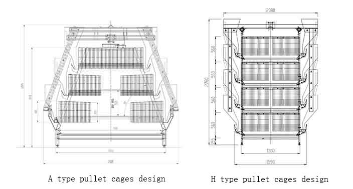 pullet cage design
