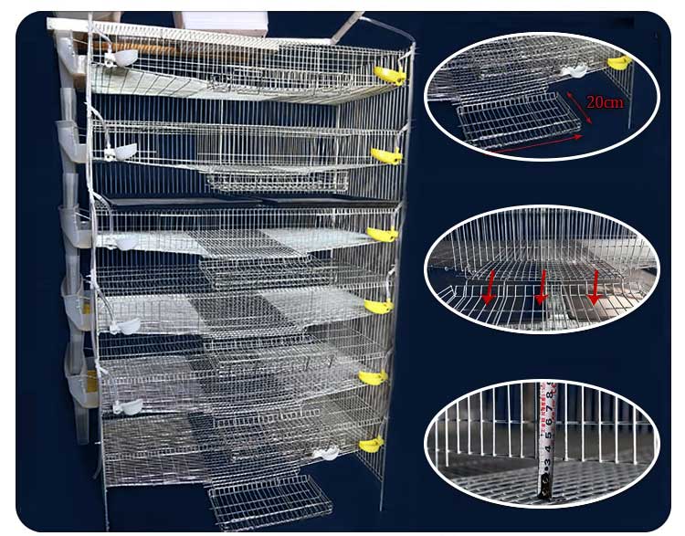 Quail cage design one