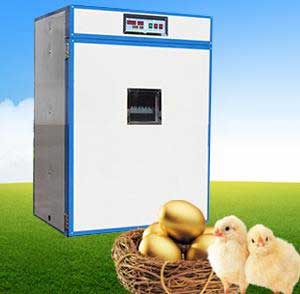 commercial poultry incubator