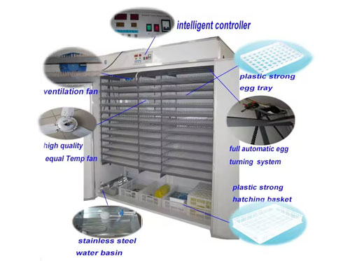commercial chicken incubator