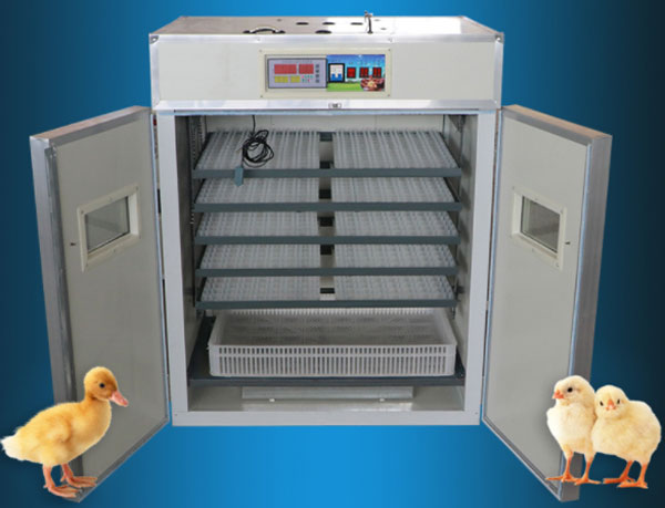 commercial poultry incubators