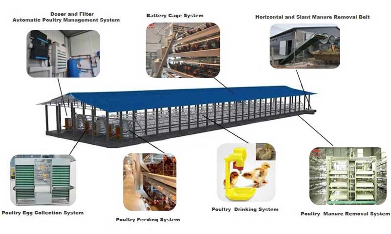 Battery Cage for Layers and Poultry Equipment