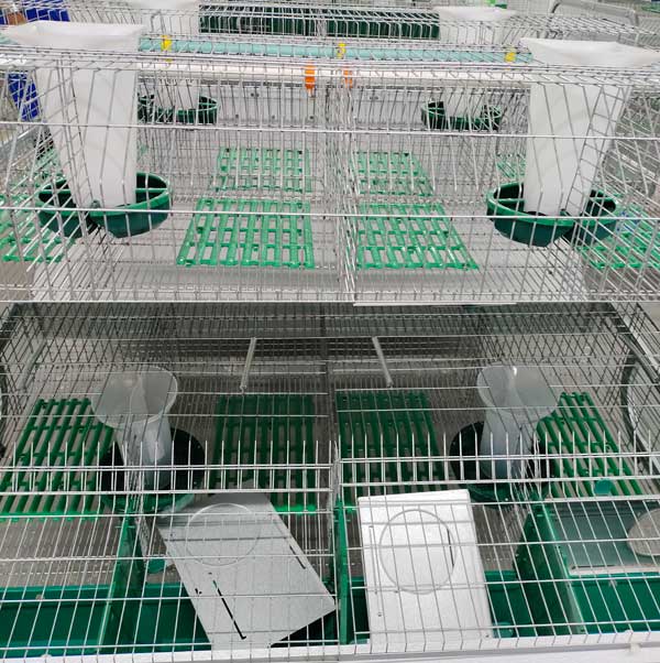 rabbit cages welding