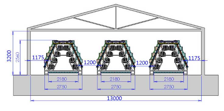 A type 4 layer broiler cage design