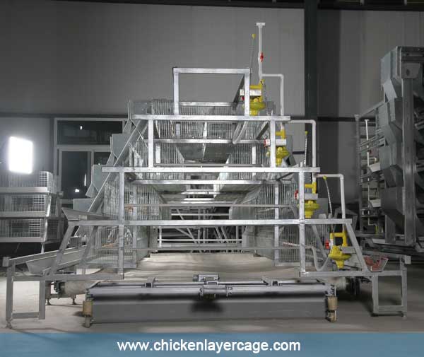 H-type broiler chicken cage