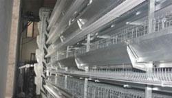 hot galvanized feed trough