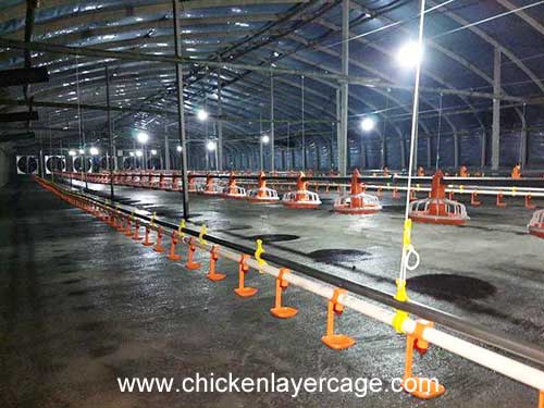 cage free poultry farming equipment 