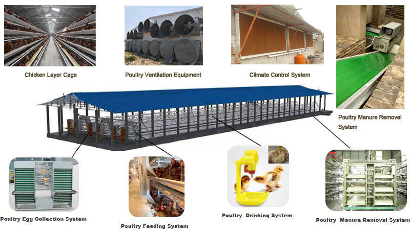 poultry farming equipment list