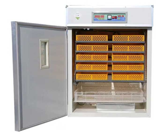 500 egg incubator