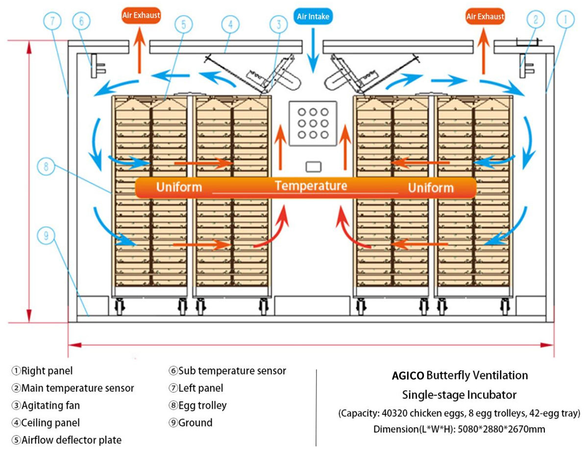 butterfly ventilation single stage incubator