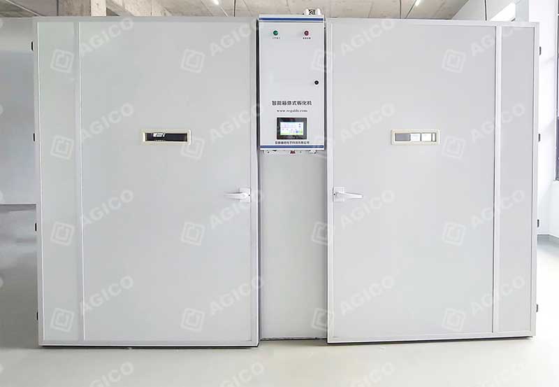 cabinet incubator