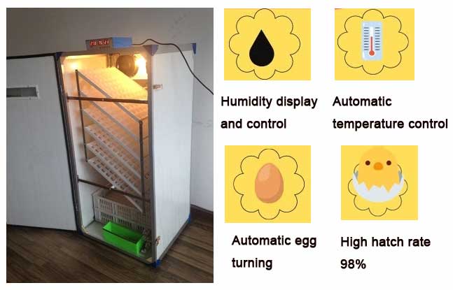 automatic 500 egg incubator