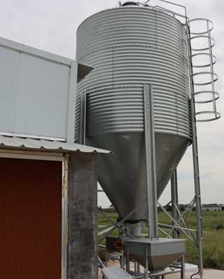 quail layer cage feeding system